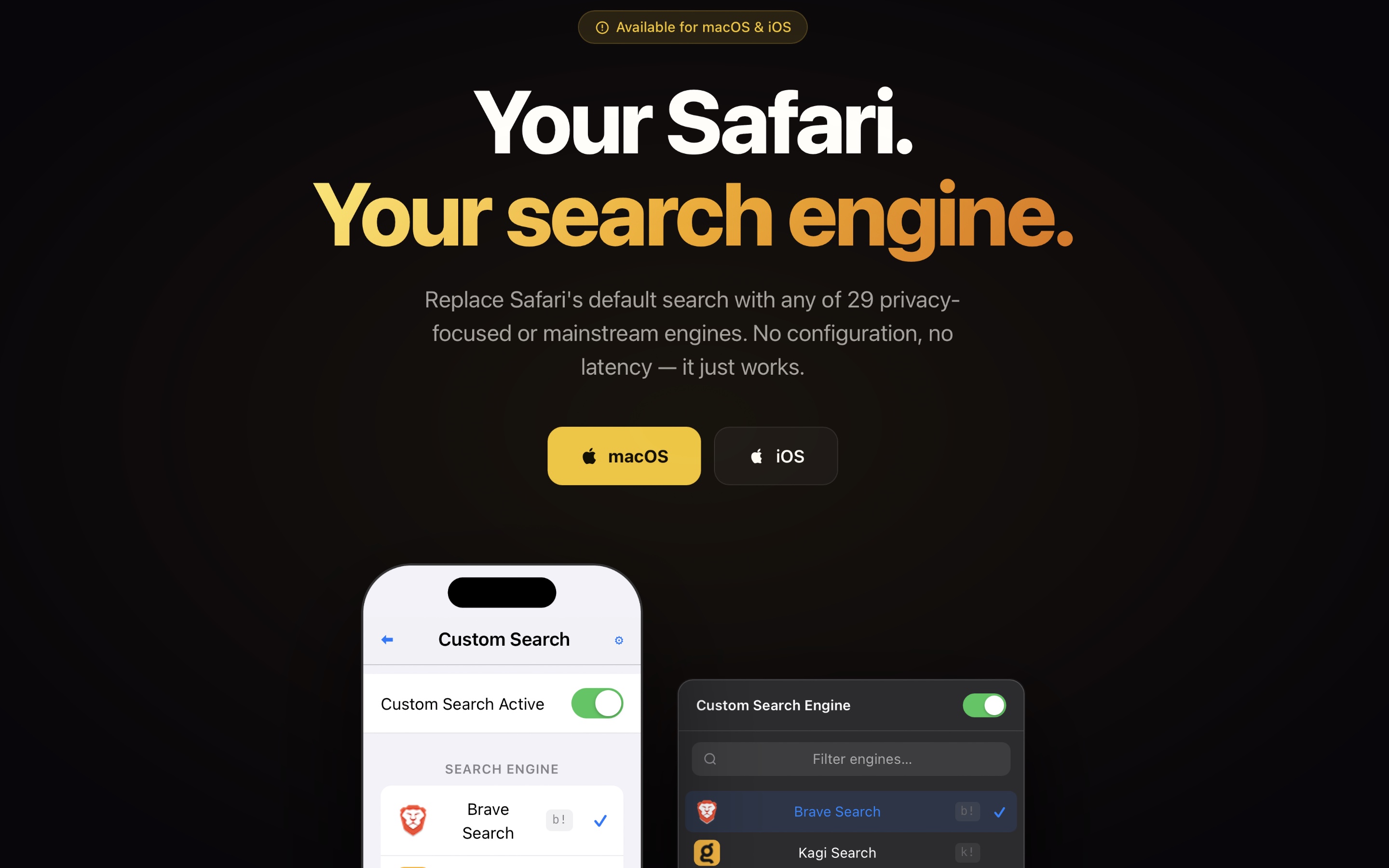 Safari Custom Search landing